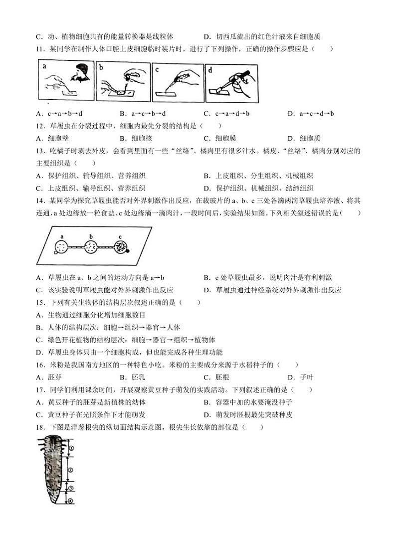 2023～2024学年河南省洛阳市伊川县七年级(上)期中生物试卷(含答案)第2页