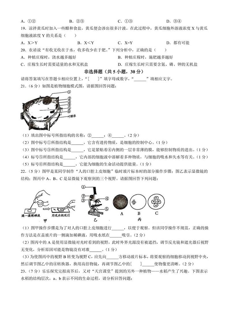 2023～2024学年河南省洛阳市伊川县七年级(上)期中生物试卷(含答案)第3页