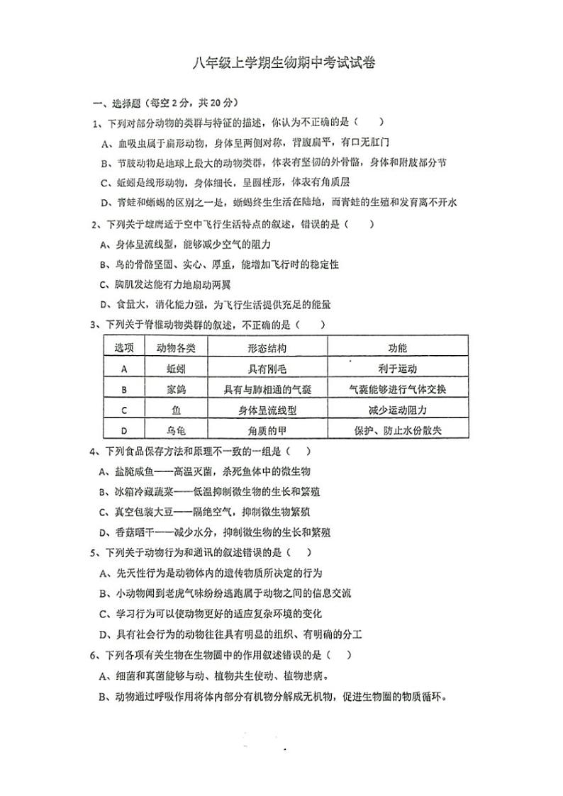 湖北省咸宁市崇阳县大集中学2024—2025学年八年级(上)生物期中试卷(含答案)01