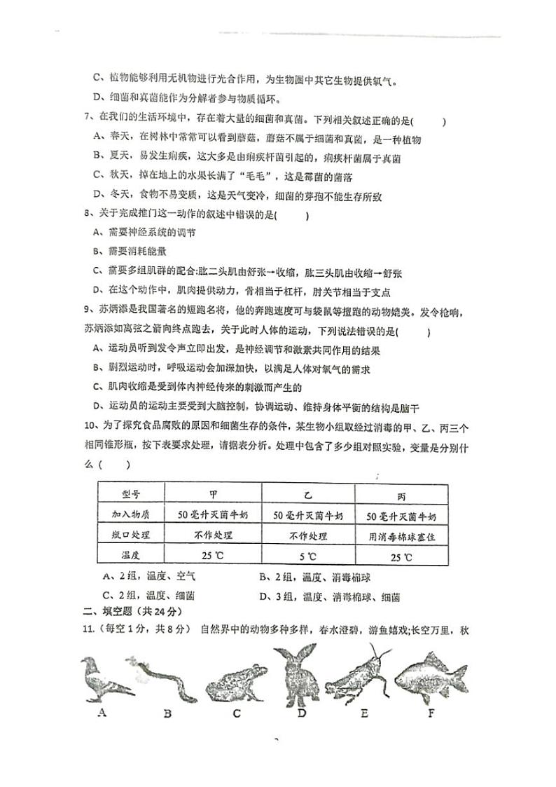 湖北省咸宁市崇阳县大集中学2024—2025学年八年级(上)生物期中试卷(含答案)02