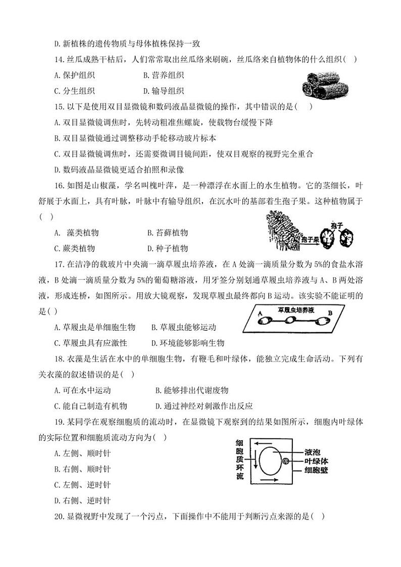 2024～2025学年河南省信阳市七年级(上)期中生物试卷(含答案)第3页