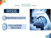 初中  生物  人教版（2024）  七年级上册  第一单元  第二章第一节 学习使用显微镜 课件