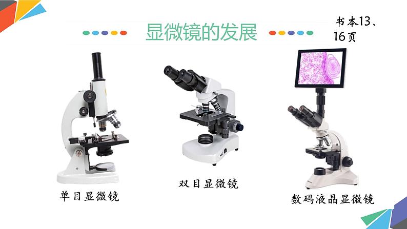 初中  生物  人教版（2024）  七年级上册  第一单元  第二章第一节 学习使用显微镜 课件第4页