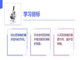 初中  生物  人教版（2024）  七年级上册  第一单元  第二章第一节 学习使用显微镜 课件