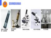初中  生物  人教版（2024）  七年级上册  第一单元  第二章第一节 学习使用显微镜 课件