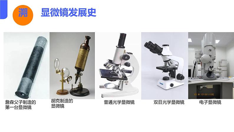 初中  生物  人教版（2024）  七年级上册  第一单元  第二章第一节 学习使用显微镜 课件第5页