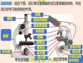 初中  生物  人教版（2024）  七年级上册  第一单元 生物和细胞  第二章 认识细胞  第一节 学习使用显微镜 课件