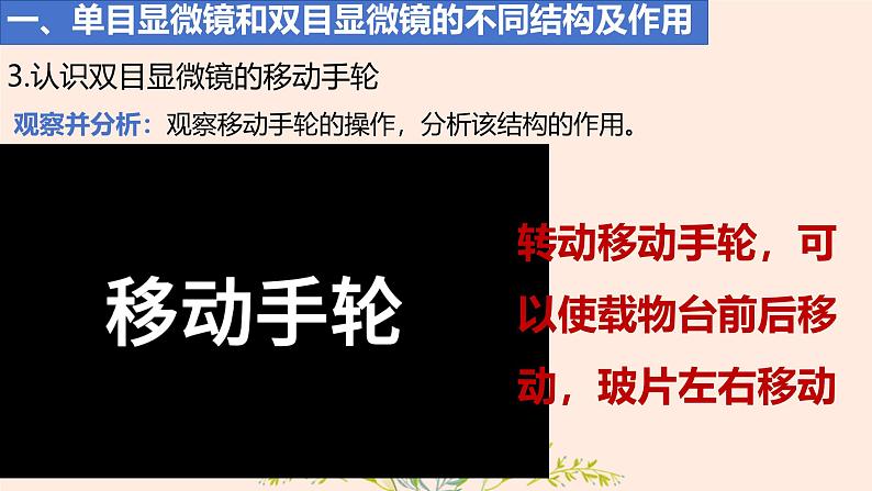 初中  生物  人教版（2024）  七年级上册  第一单元 生物和细胞  第二章 认识细胞  第一节 学习使用显微镜 课件06