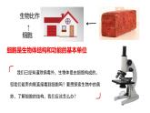 初中  生物  人教版（2024）  七年级上册  第一单元 生物和细胞  第二章 认识细胞  第一节 学习使用显微镜 课件