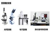 初中  生物  人教版（2024）  七年级上册  第一单元 生物和细胞  第二章 认识细胞  第一节 学习使用显微镜 课件