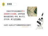 初中  生物  人教版（2024）  七年级上册  第一单元 生物和细胞  第二章 认识细胞  第一节 学习使用显微镜 课件