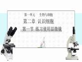 初中  生物  人教版（2024）  七年級(jí)上冊(cè)  第一單元 生物和細(xì)胞  第二章 認(rèn)識(shí)細(xì)胞  第一節(jié) 學(xué)習(xí)使用顯微鏡 課件