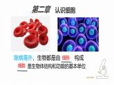 初中  生物  人教版（2024）  七年級(jí)上冊(cè)  第一單元 生物和細(xì)胞  第二章 認(rèn)識(shí)細(xì)胞  第一節(jié) 學(xué)習(xí)使用顯微鏡 課件