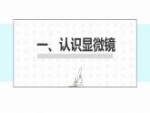 初中  生物  人教版（2024）  七年級(jí)上冊(cè)  第一單元 生物和細(xì)胞  第二章 認(rèn)識(shí)細(xì)胞  第一節(jié) 學(xué)習(xí)使用顯微鏡 課件