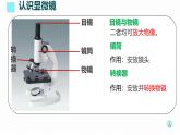 初中  生物  人教版（2024）  七年級(jí)上冊(cè)  第一單元 生物和細(xì)胞  第二章 認(rèn)識(shí)細(xì)胞  第一節(jié) 學(xué)習(xí)使用顯微鏡 課件