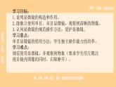 初中  生物  人教版（2024）  七年級(jí)上冊(cè)  第一單元 生物和細(xì)胞  第二章 認(rèn)識(shí)細(xì)胞  第一節(jié) 學(xué)習(xí)使用顯微鏡 課件