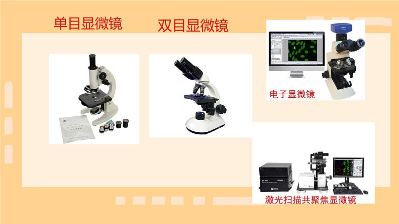 初中  生物  人教版（2024）  七年级上册  第一单元 生物和细胞  第二章 认识细胞  第一节 学习使用显微镜 课件第6页