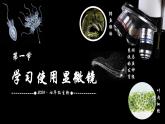 初中  生物  人教版（2024）  七年級(jí)上冊(cè)  第一單元 生物和細(xì)胞  第二章 認(rèn)識(shí)細(xì)胞  第一節(jié) 學(xué)習(xí)使用顯微鏡 課件