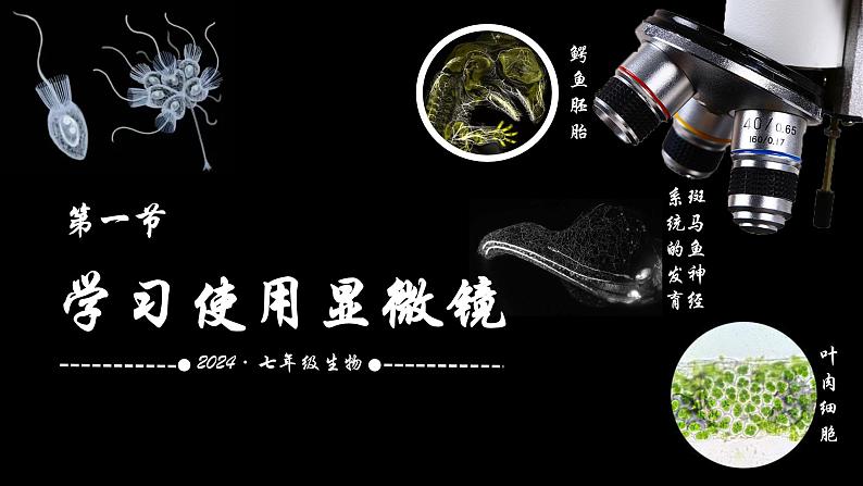 初中  生物  人教版（2024）  七年级上册  第一单元 生物和细胞  第二章 认识细胞  第一节 学习使用显微镜 课件第2页