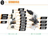 初中  生物  人教版（2024）  七年級(jí)上冊(cè)  第一單元 生物和細(xì)胞  第二章 認(rèn)識(shí)細(xì)胞  第一節(jié) 學(xué)習(xí)使用顯微鏡 課件