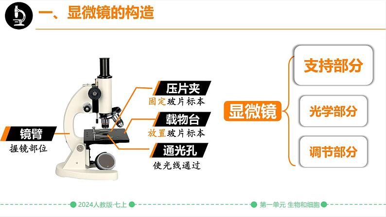 初中  生物  人教版（2024）  七年级上册  第一单元 生物和细胞  第二章 认识细胞  第一节 学习使用显微镜 课件第5页