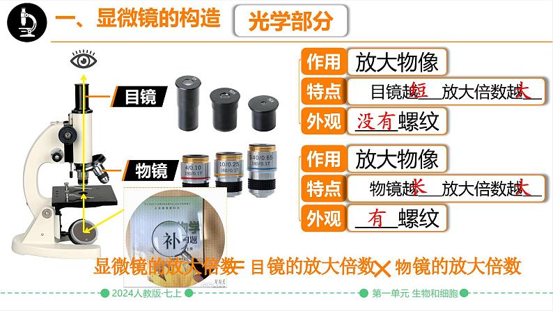 初中  生物  人教版（2024）  七年级上册  第一单元 生物和细胞  第二章 认识细胞  第一节 学习使用显微镜 课件第8页
