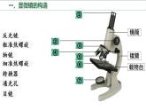 初中  生物  人教版（2024）  七年級(jí)上冊(cè)  第一單元 生物和細(xì)胞  第二章 認(rèn)識(shí)細(xì)胞  第一節(jié) 學(xué)習(xí)使用顯微鏡 課件