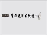 初中  生物  人教版（2024）  七年級(jí)上冊(cè)  第一單元 生物和細(xì)胞  第二章 認(rèn)識(shí)細(xì)胞  第一節(jié) 學(xué)習(xí)使用顯微鏡 課件