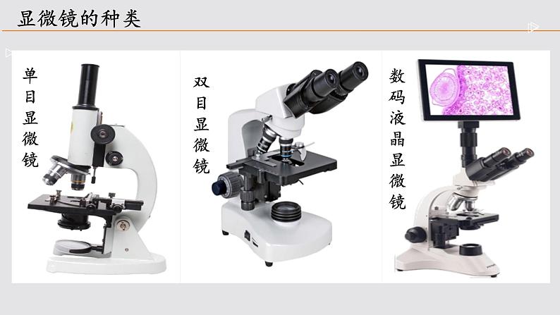 初中  生物  人教版（2024）  七年级上册  第一单元 生物和细胞  第二章 认识细胞  第一节 学习使用显微镜 课件第2页