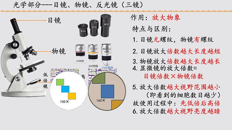 初中  生物  人教版（2024）  七年级上册  第一单元 生物和细胞  第二章 认识细胞  第一节 学习使用显微镜 课件第5页