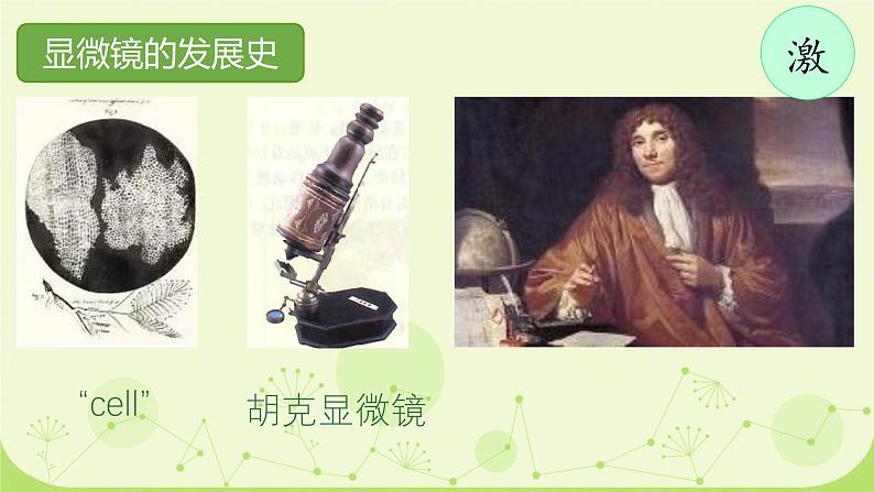 初中  生物  人教版（2024）  七年级上册  第一单元 生物和细胞  第二章 认识细胞  第一节 学习使用显微镜 课件第3页