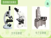 初中  生物  人教版（2024）  七年級(jí)上冊(cè)  第一單元 生物和細(xì)胞  第二章 認(rèn)識(shí)細(xì)胞  第一節(jié) 學(xué)習(xí)使用顯微鏡 課件