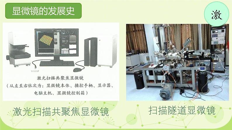 初中  生物  人教版（2024）  七年级上册  第一单元 生物和细胞  第二章 认识细胞  第一节 学习使用显微镜 课件第5页