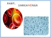 初中  生物  人教版（2024）  七年級(jí)上冊(cè)  第一單元 生物和細(xì)胞  第二章 認(rèn)識(shí)細(xì)胞  第一節(jié) 學(xué)習(xí)使用顯微鏡 課件