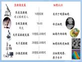 初中  生物  人教版（2024）  七年級(jí)上冊(cè)  第一單元 生物和細(xì)胞  第二章 認(rèn)識(shí)細(xì)胞  第一節(jié) 學(xué)習(xí)使用顯微鏡 課件