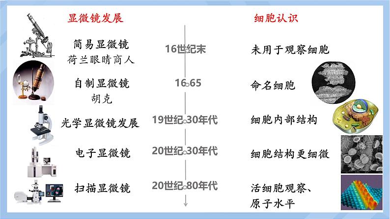 初中  生物  人教版（2024）  七年级上册  第一单元 生物和细胞  第二章 认识细胞  第一节 学习使用显微镜 课件第4页