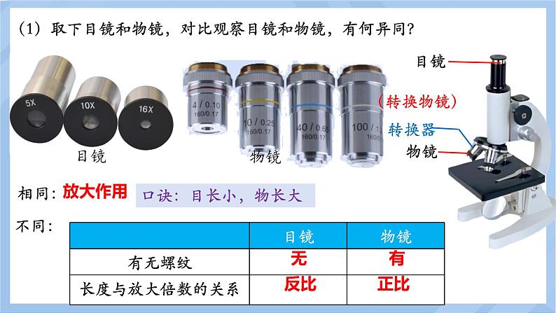 初中  生物  人教版（2024）  七年级上册  第一单元 生物和细胞  第二章 认识细胞  第一节 学习使用显微镜 课件第8页