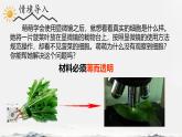 初中  生物  人教版（2024）  七年级上册  第一单元   第二章 认识细胞 第二节 植物细胞 课件
