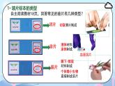 初中  生物  人教版（2024）  七年级上册  第一单元   第二章 认识细胞 第二节 植物细胞 课件