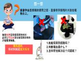 初中  生物  人教版（2024）  七年级上册  第一单元   第二章 认识细胞 第二节 植物细胞 课件
