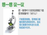 初中  生物  人教版（2024）  七年级上册  第一单元   第二章 认识细胞 第二节 植物细胞 课件
