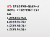 初中  生物  人教版（2024）  七年级上册  第一单元   第二章 认识细胞 第二节 植物细胞 课件