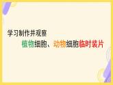 初中  生物  人教版（2024）  七年级上册  第一单元   第二章 认识细胞 第二节 植物细胞 课件
