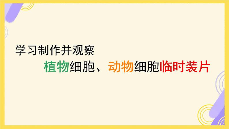 初中  生物  人教版（2024）  七年级上册  第一单元   第二章 认识细胞 第二节 植物细胞 课件01