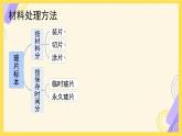 初中  生物  人教版（2024）  七年级上册  第一单元   第二章 认识细胞 第二节 植物细胞 课件