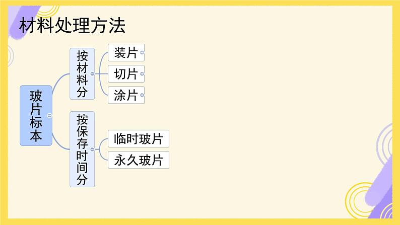 初中  生物  人教版（2024）  七年级上册  第一单元   第二章 认识细胞 第二节 植物细胞 课件03