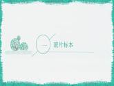 初中  生物  人教版（2024）  七年级上册  第一单元   第二章 认识细胞 第二节 植物细胞 课件