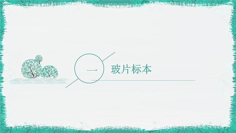 初中  生物  人教版（2024）  七年级上册  第一单元   第二章 认识细胞 第二节 植物细胞 课件第2页