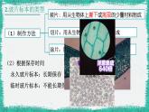 初中  生物  人教版（2024）  七年级上册  第一单元   第二章 认识细胞 第二节 植物细胞 课件