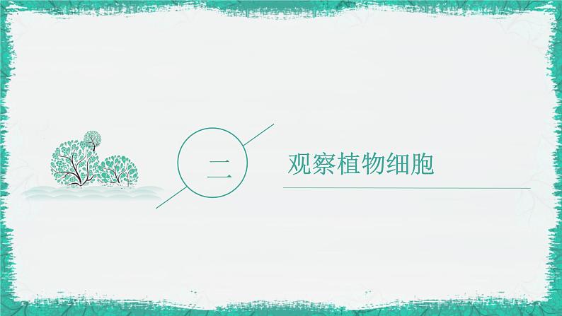 初中  生物  人教版（2024）  七年级上册  第一单元   第二章 认识细胞 第二节 植物细胞 课件第6页